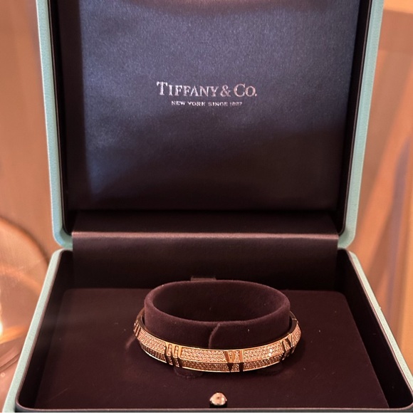 Tiffany X Closed Wide Hinged Diamond Bangle ✨ NEW - Picture 2 of 4